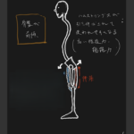 黒人の身体能力に近づくためのカギとなる筋肉群は股関節周り。